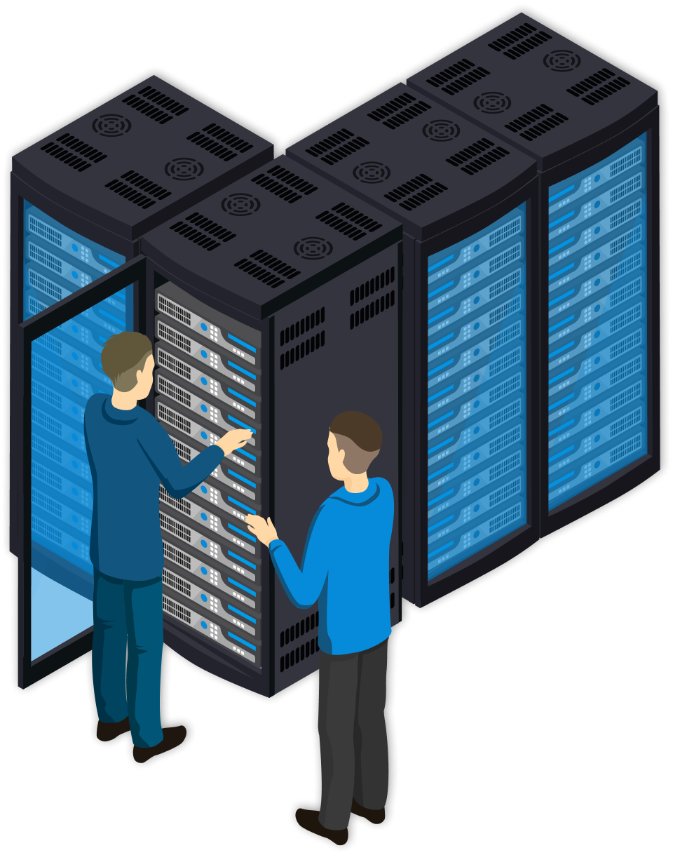 Customised Cabin and Network Structure